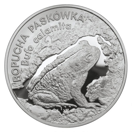 Zwierzęta świata - Ropucha Paskówka